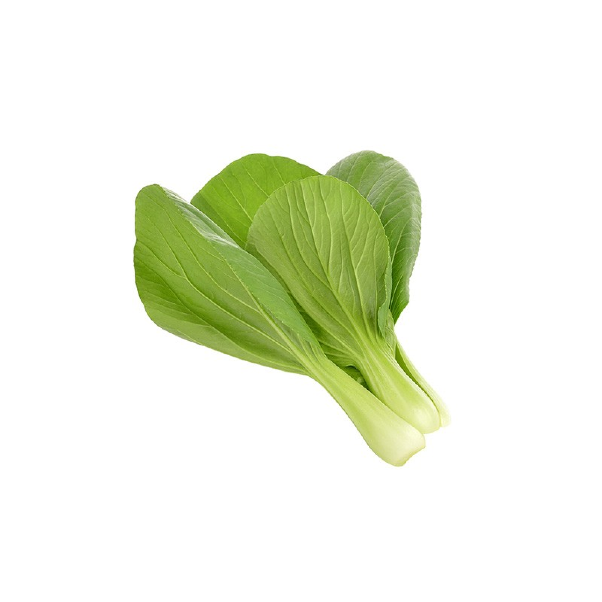 Recharges de Graines Click and Grow 3 Pak Choi