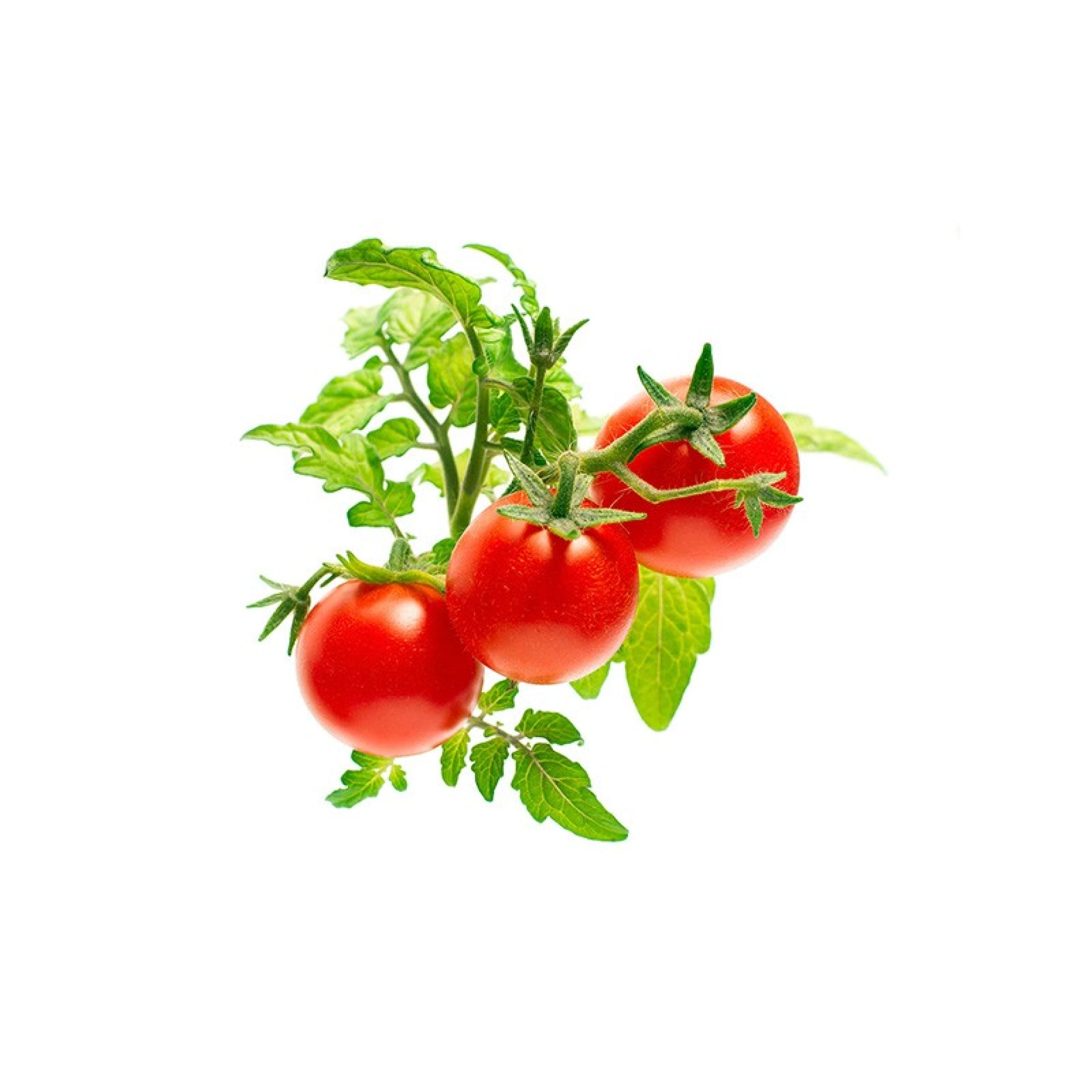 Click and Grow Plantencapsules