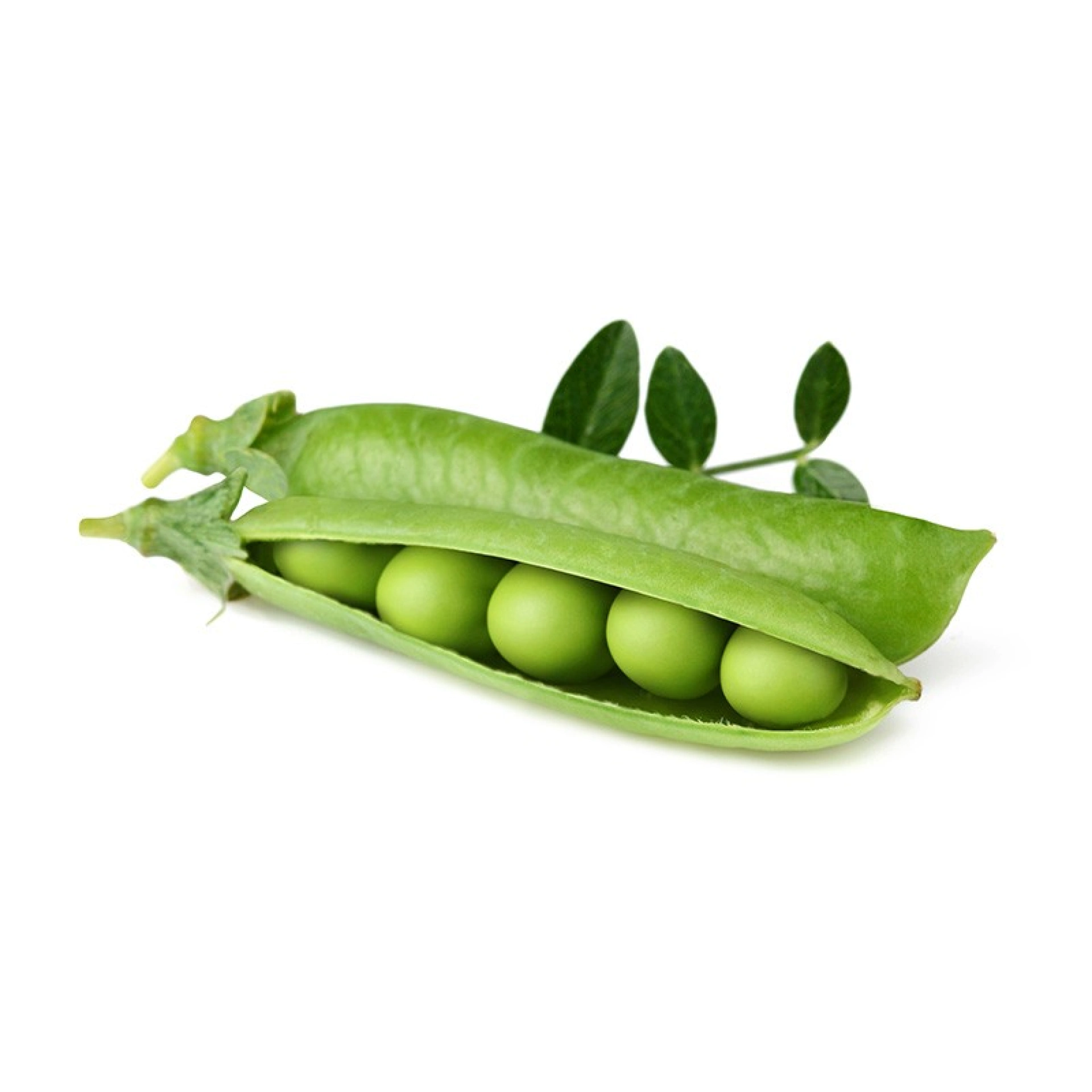 Click and Grow Plantencapsules