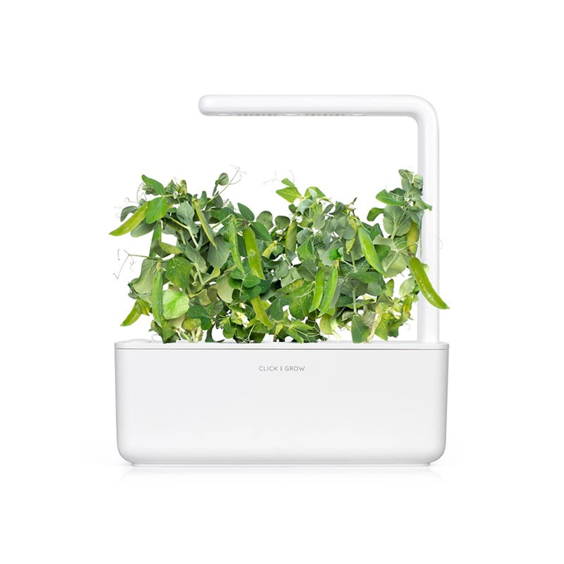 Click and Grow Plantencapsules