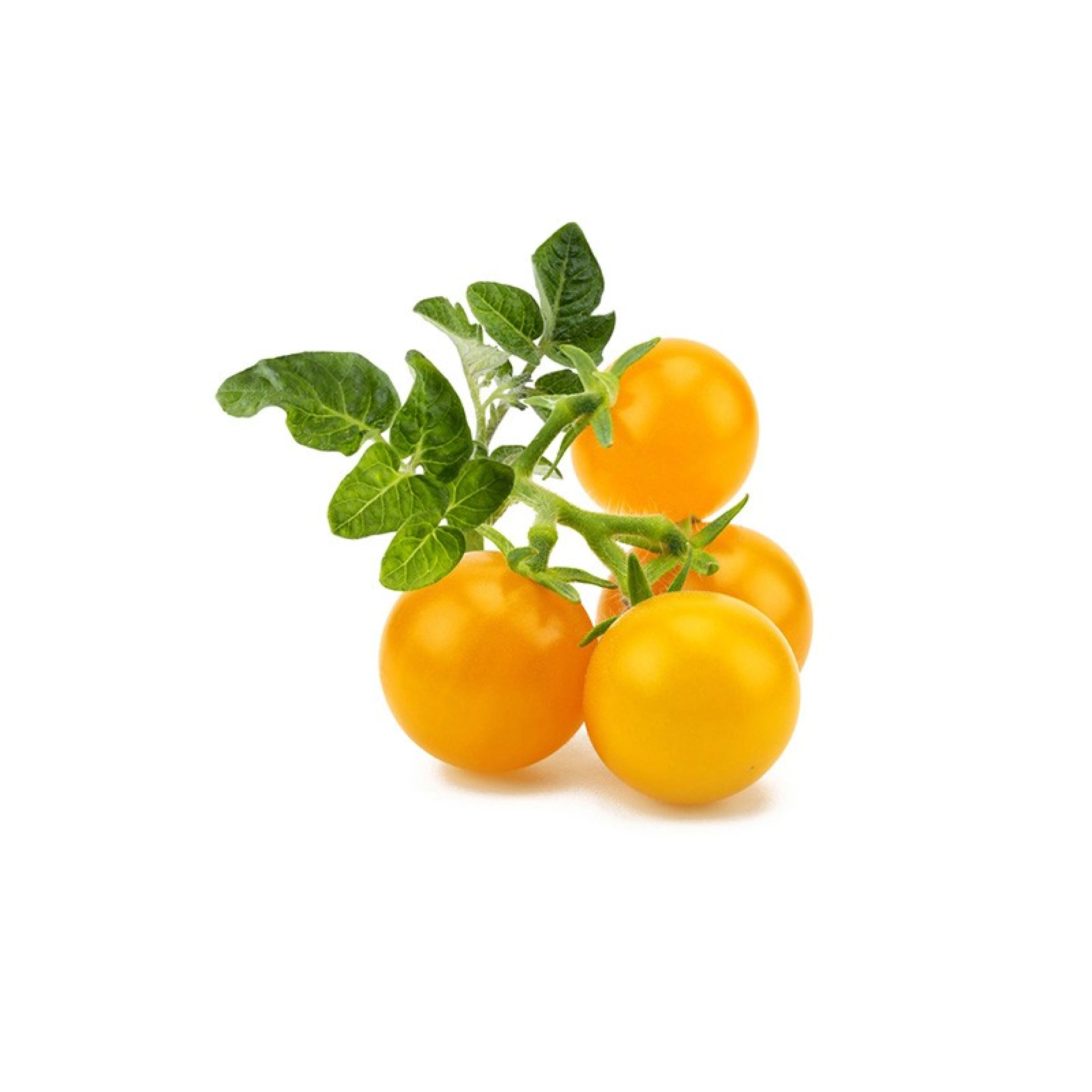 Click and Grow Plantencapsules