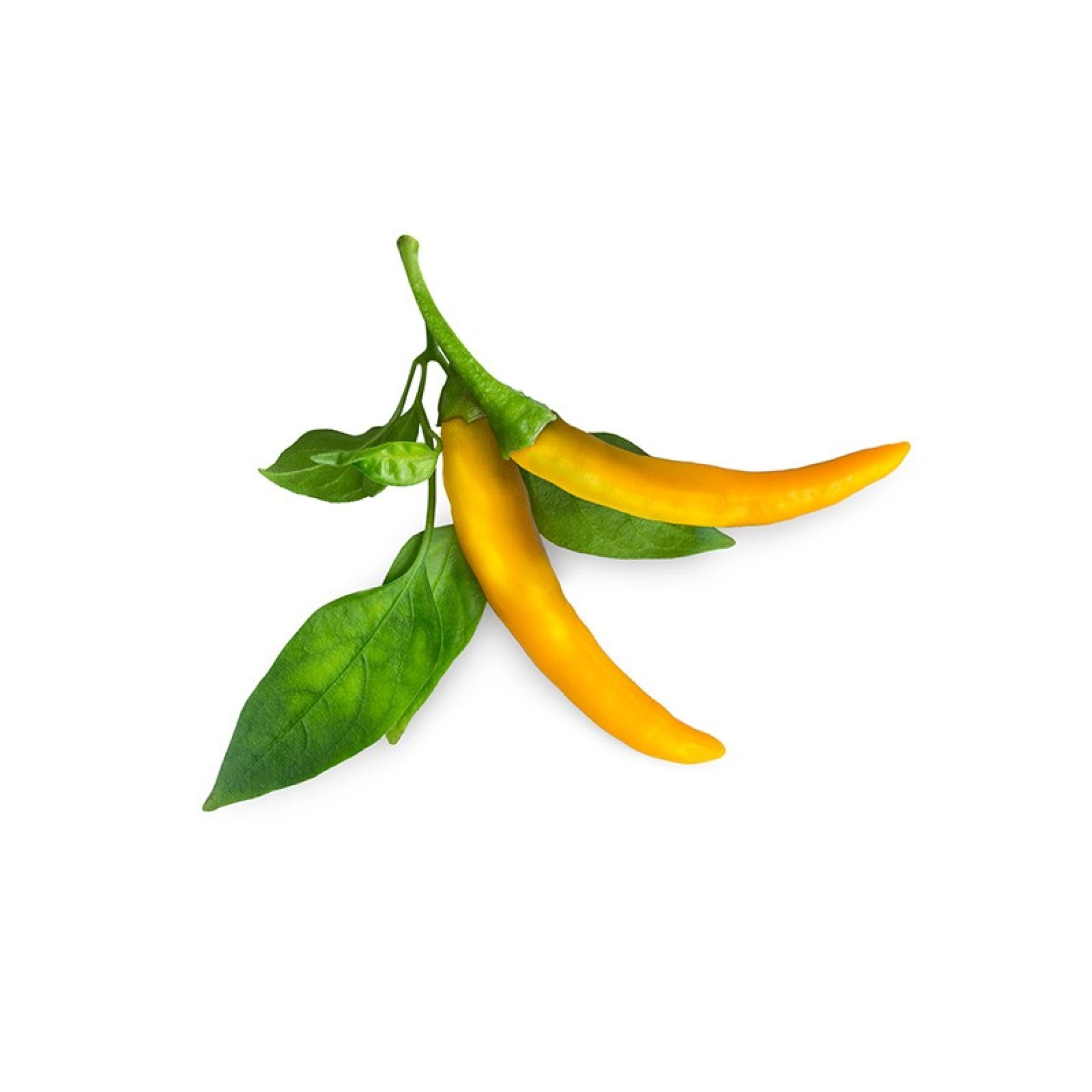 Click and Grow Plantencapsules