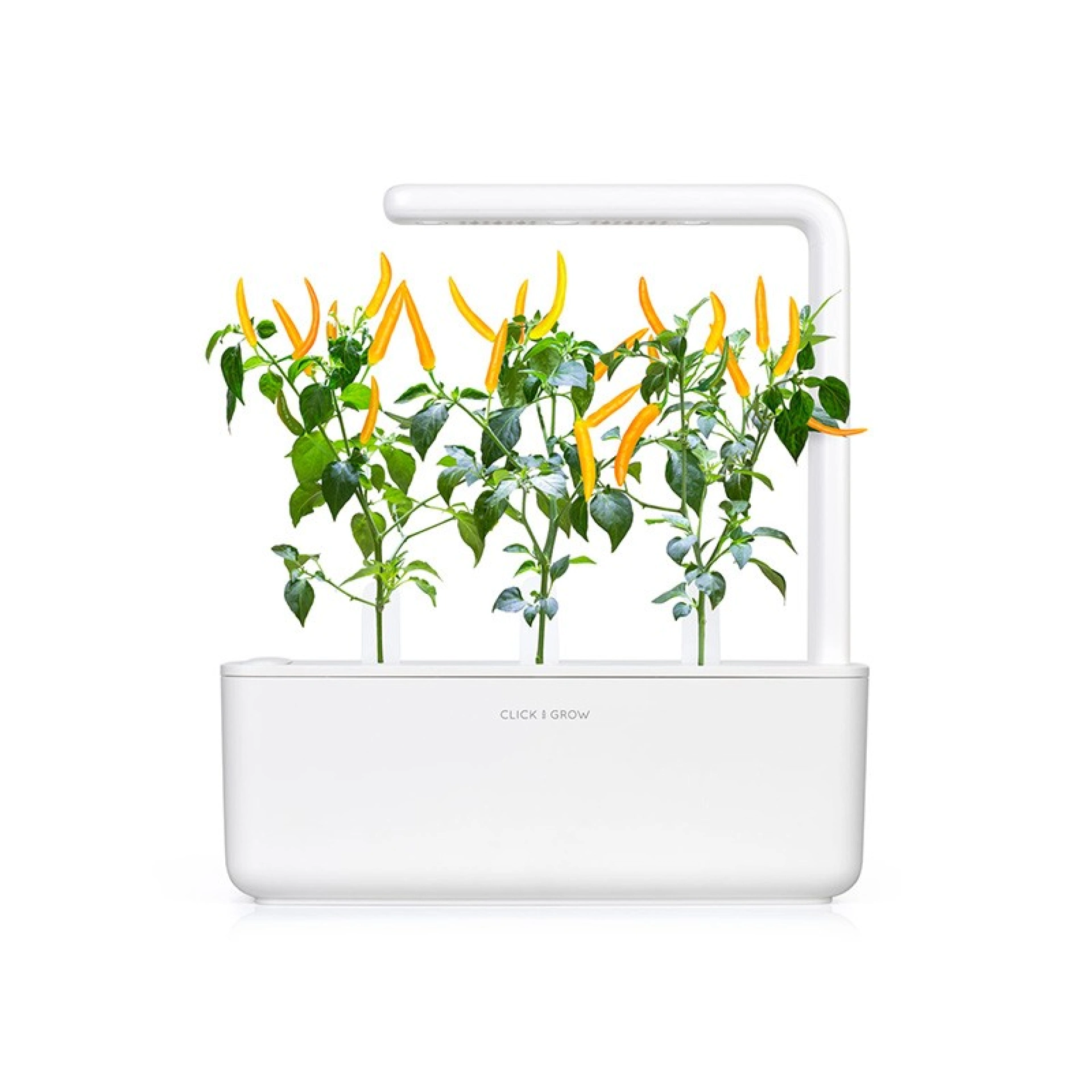 Click and Grow Plantencapsules