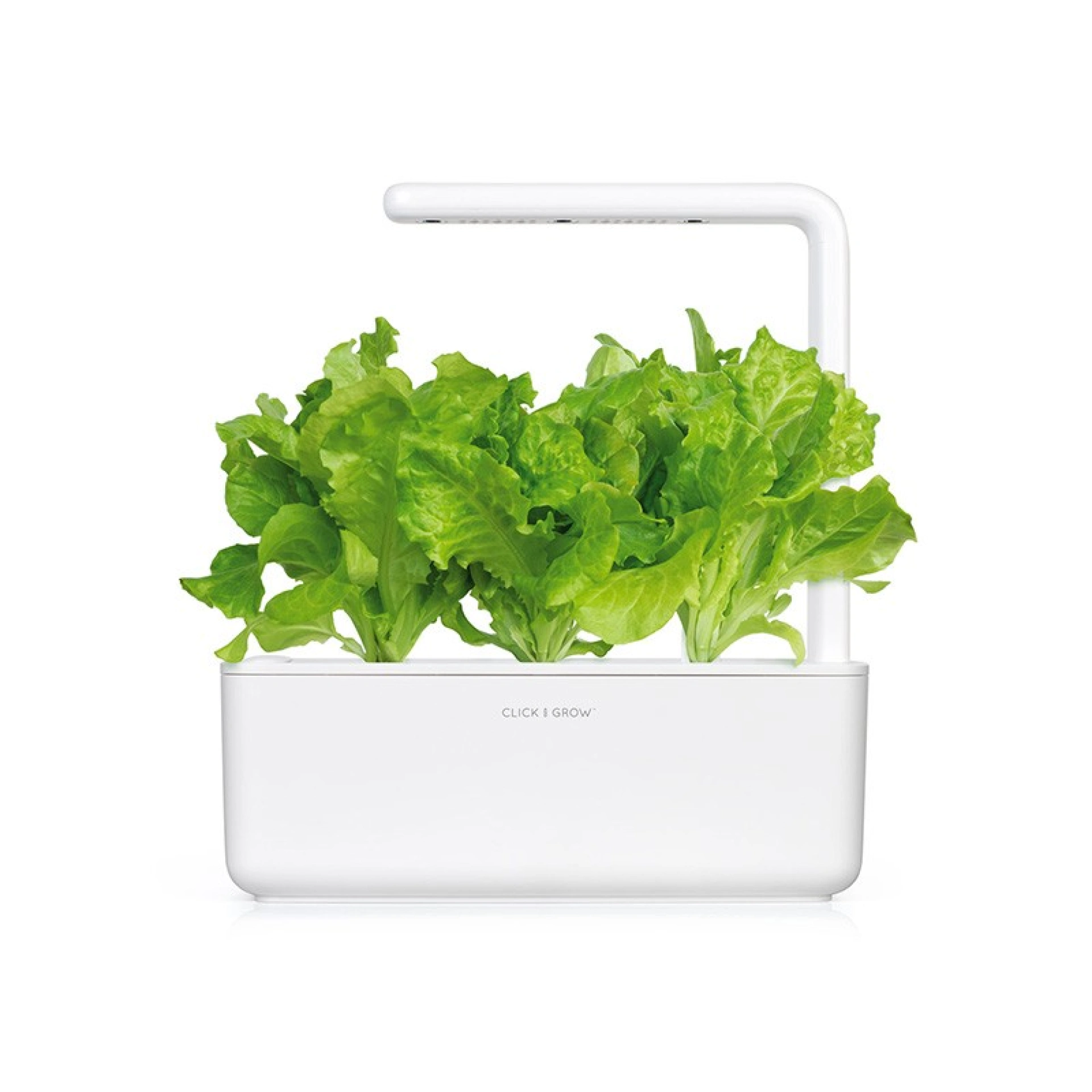 Click and Grow Plantencapsules