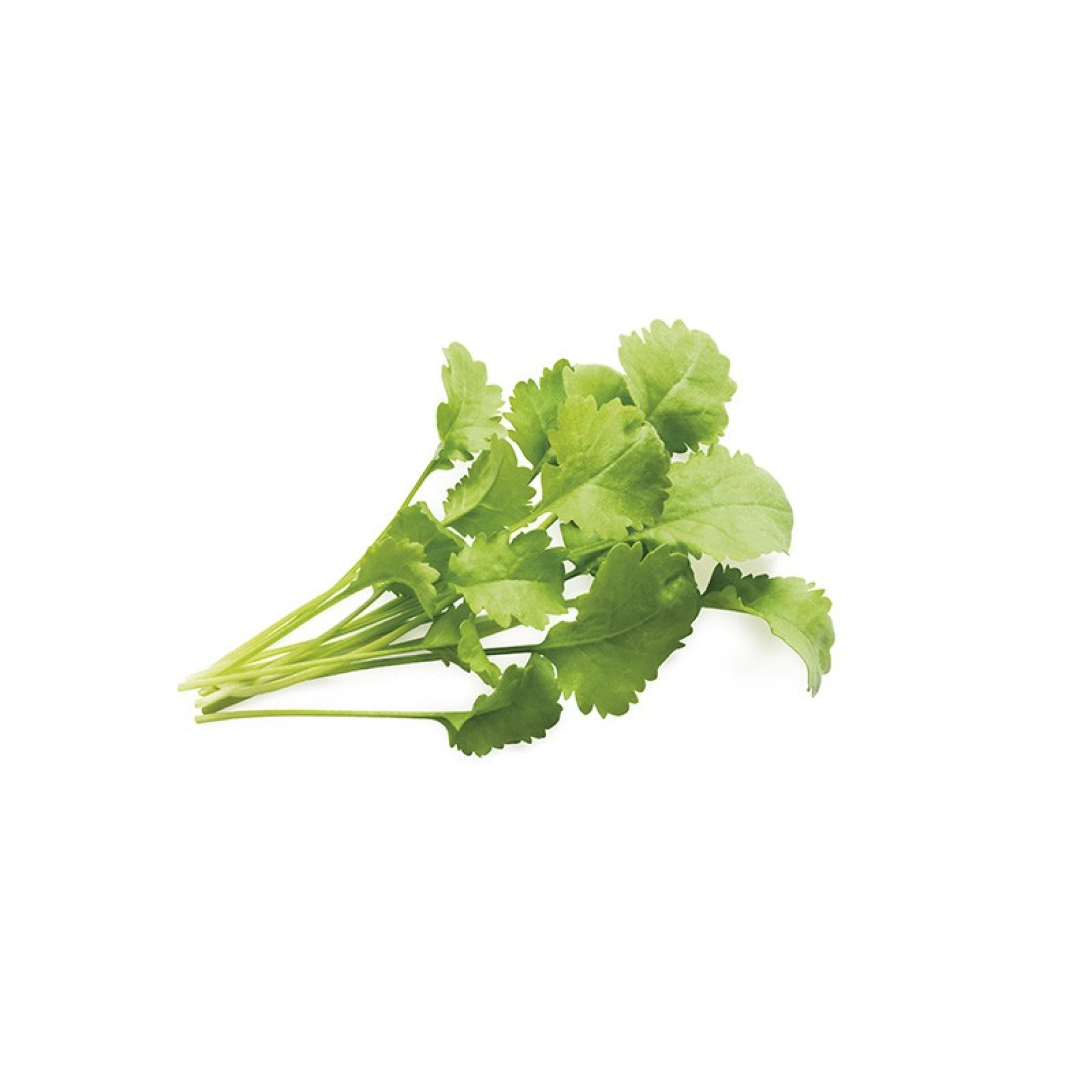 Recharges de Graines Click and Grow