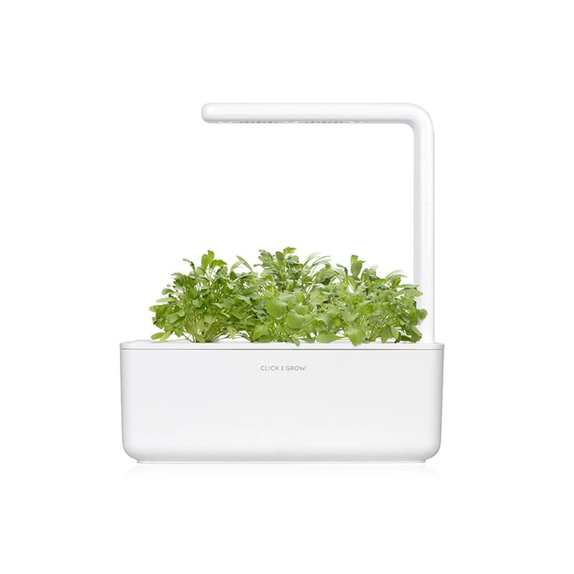 Recharges de Graines Click and Grow