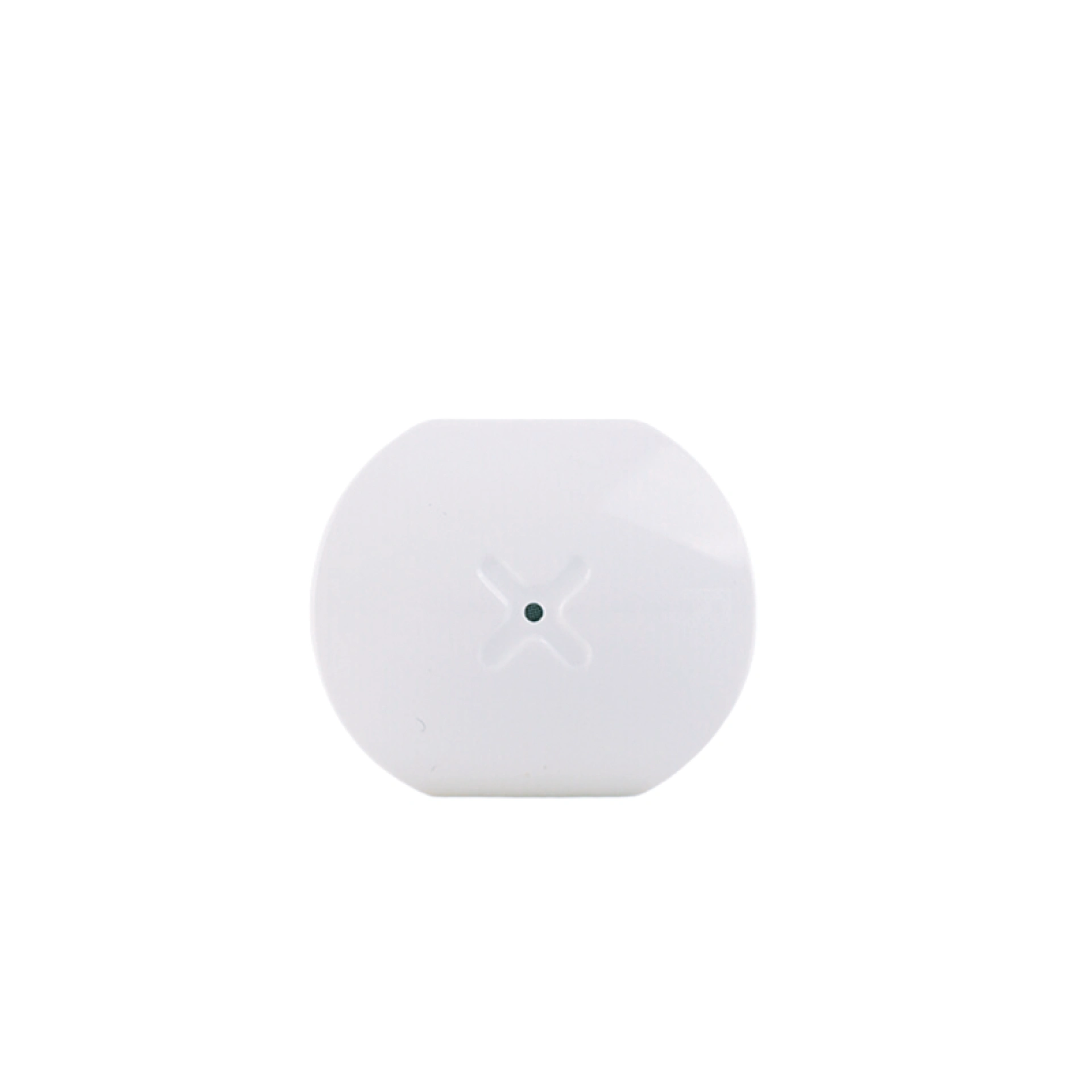 Torus Bluetooth Oordopjes