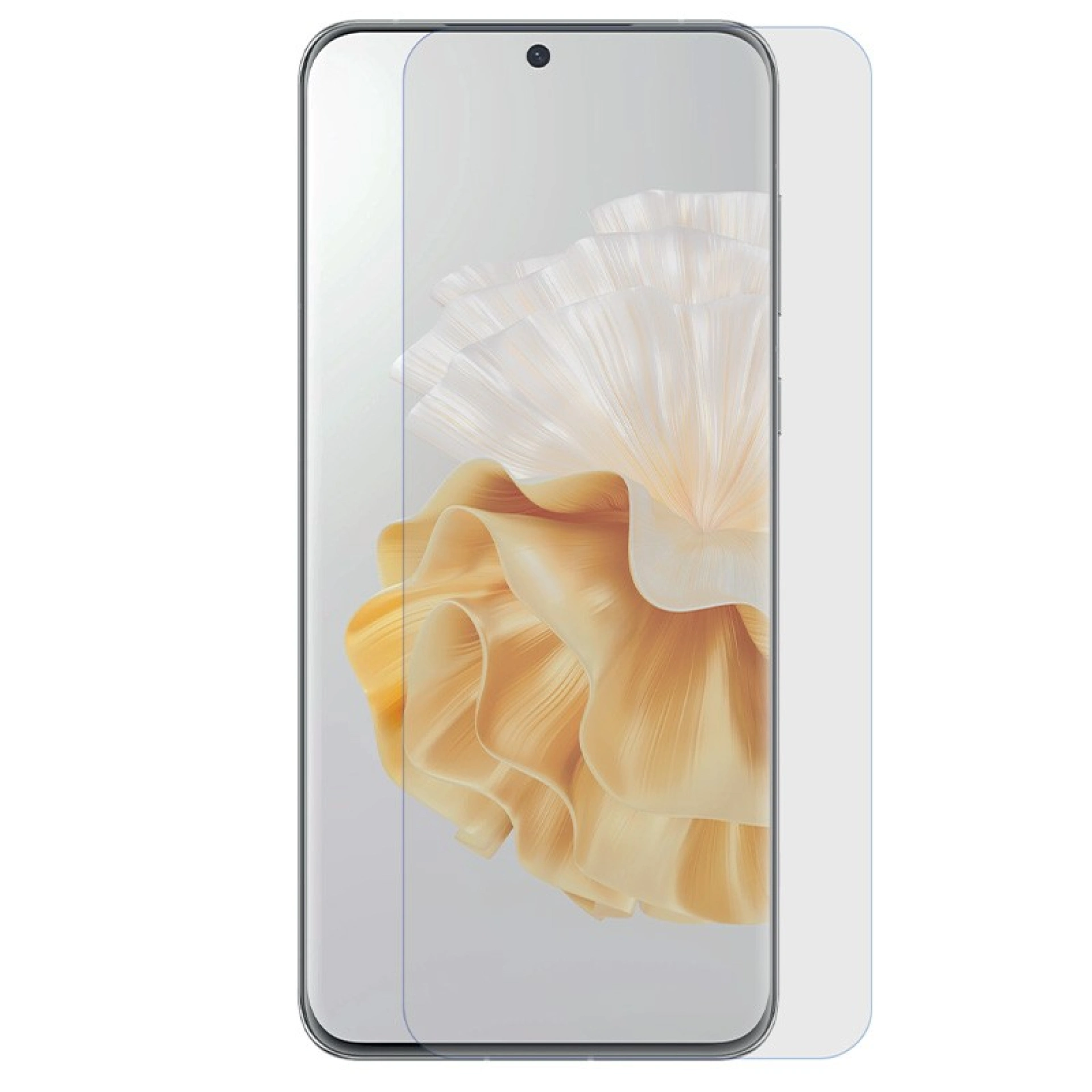 Huawei Screen Protector P20 Pro