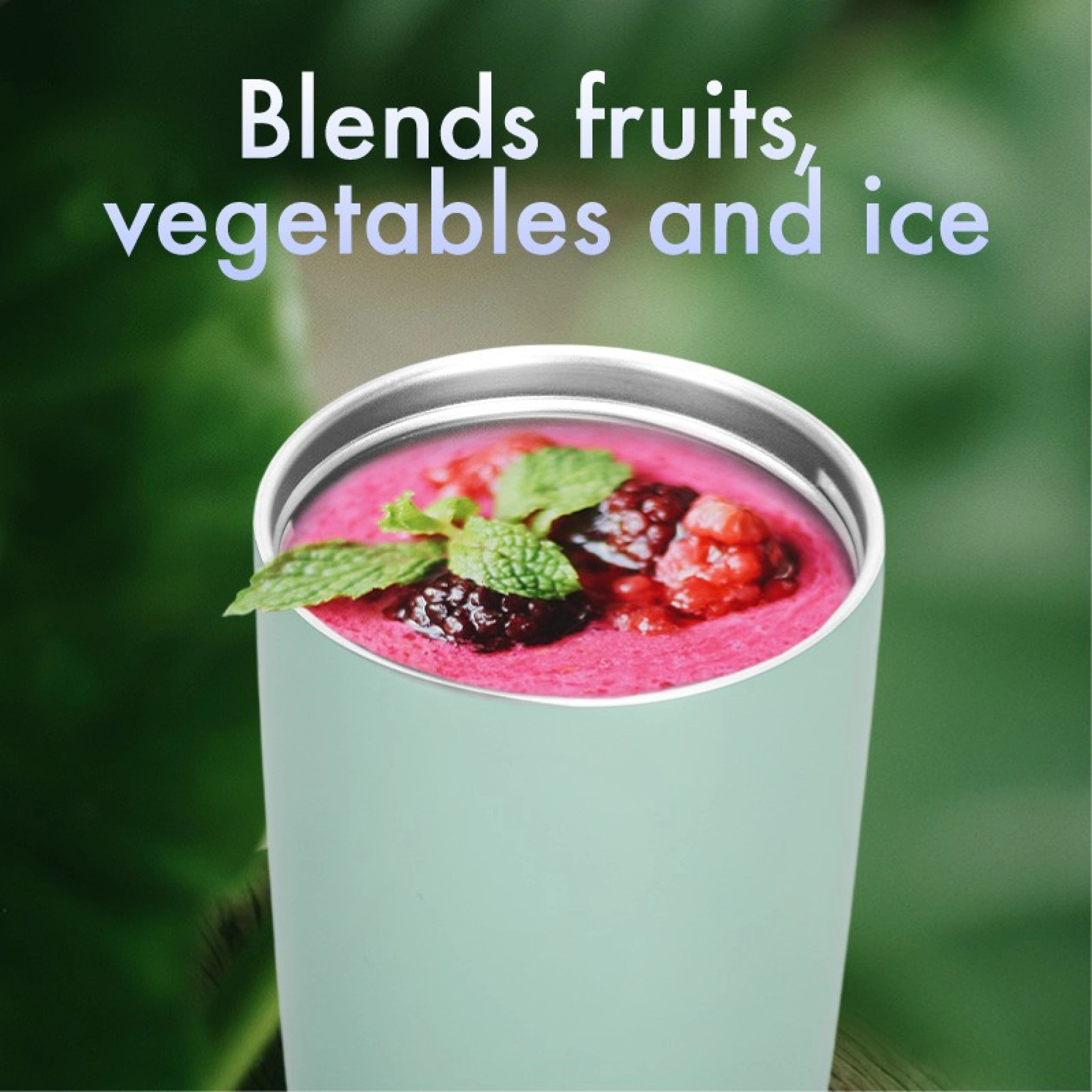 Portable Blender
