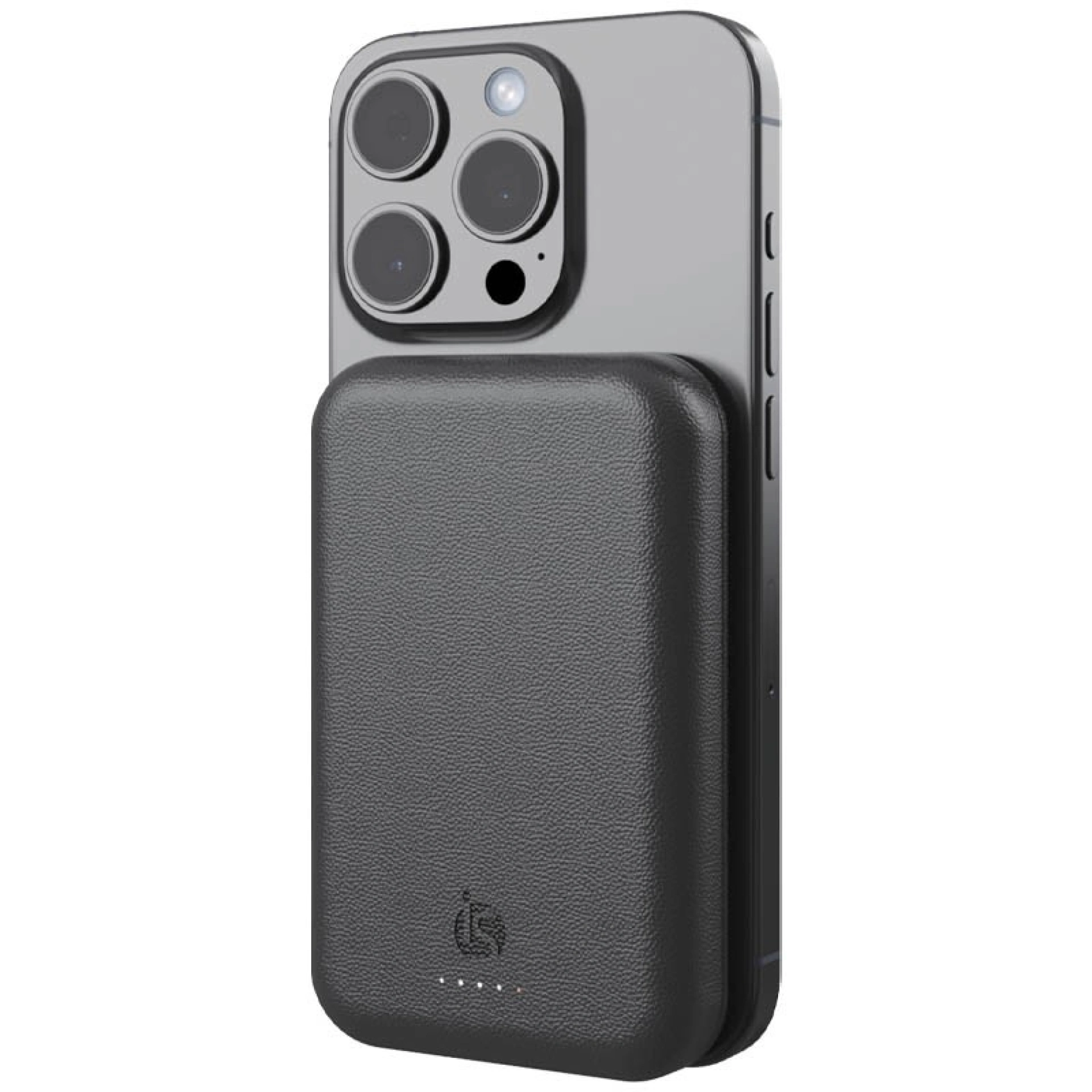 Powerbank Lederen