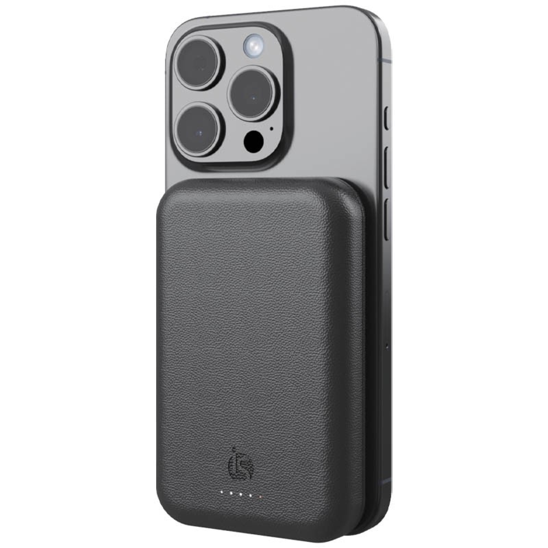 Powerbank Lederen