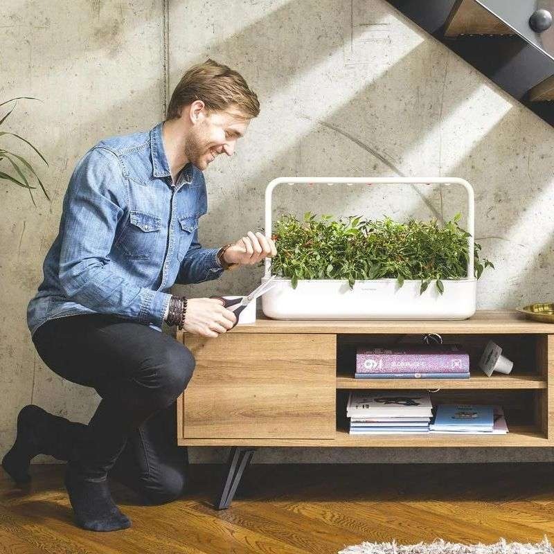 Já conhece os Smart Gardens da Click and Grow?