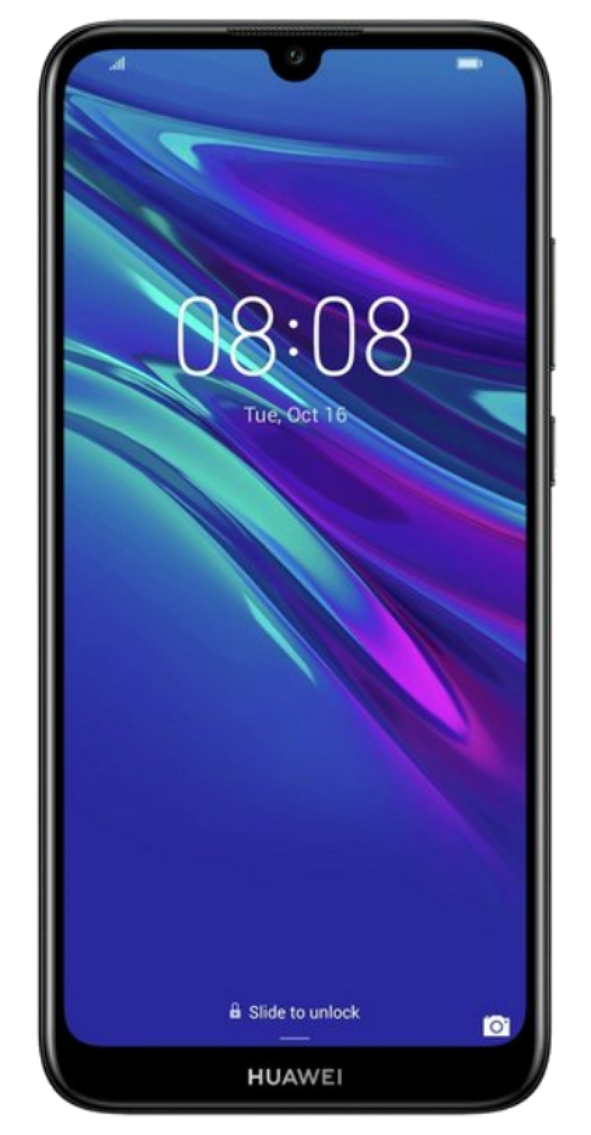 Y6 2019