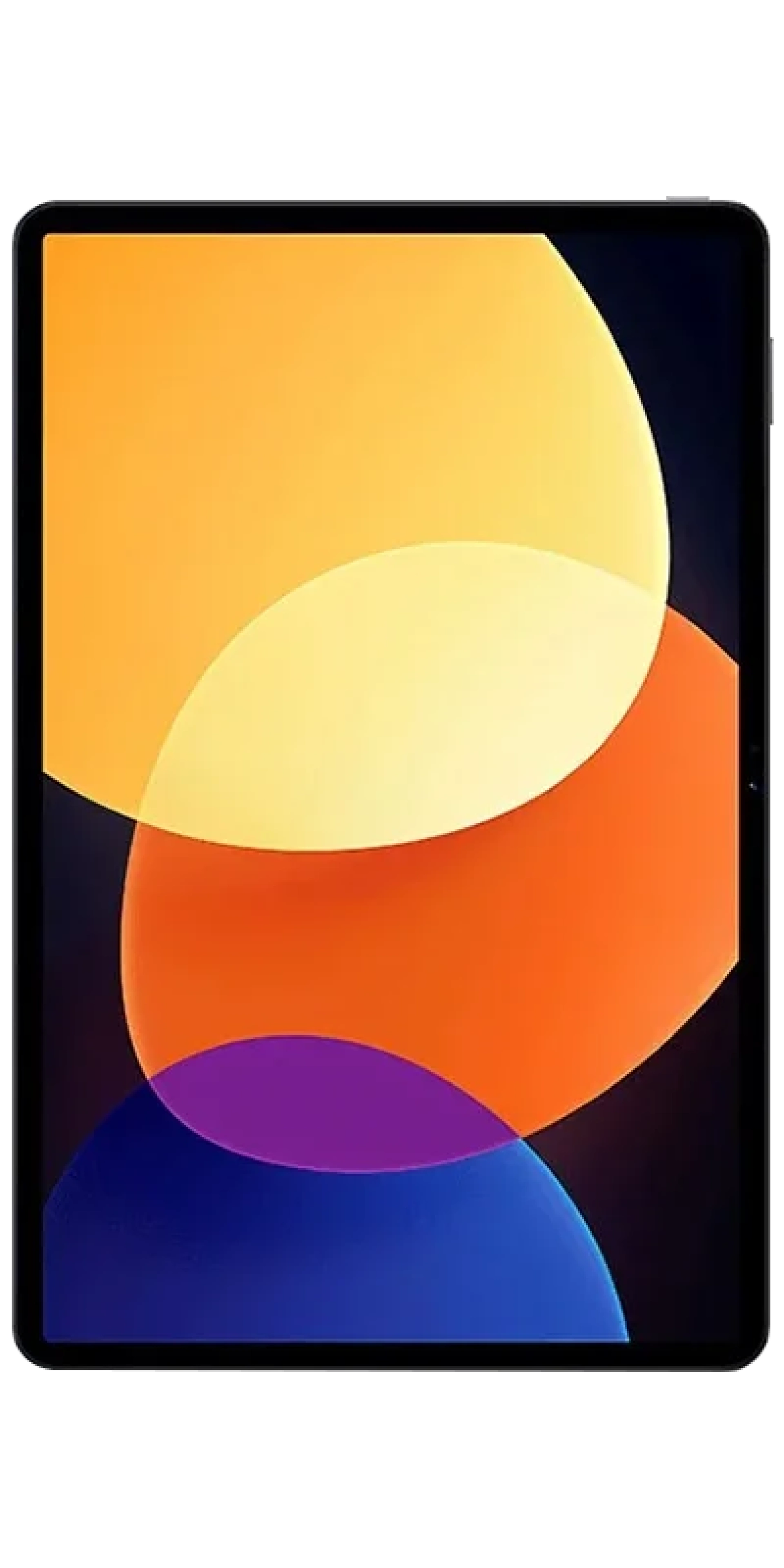 Pad 5 Pro 12.4