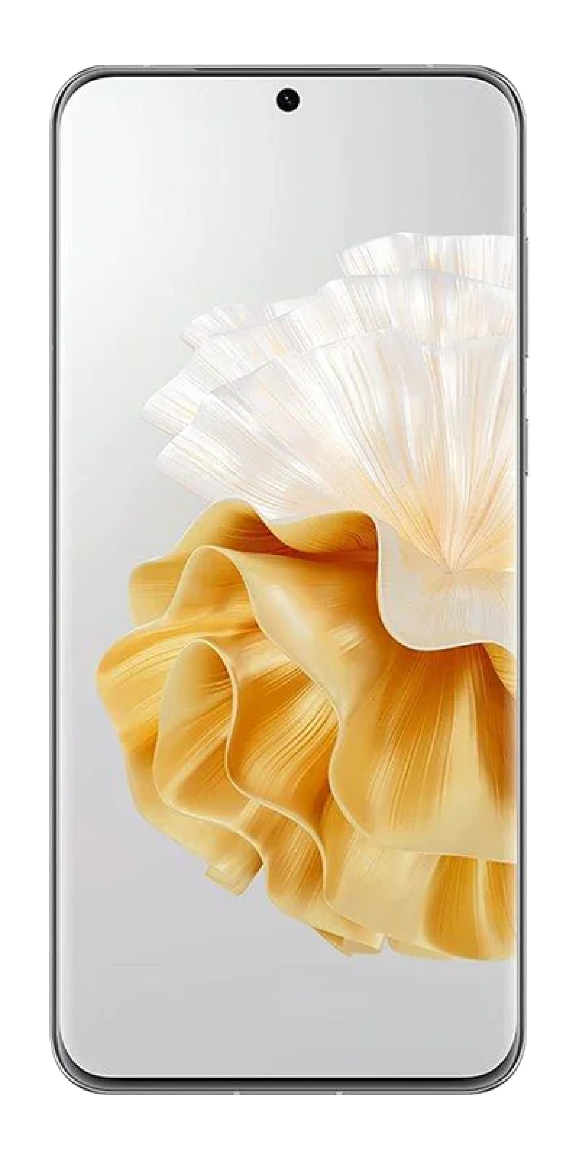 P60 Pro