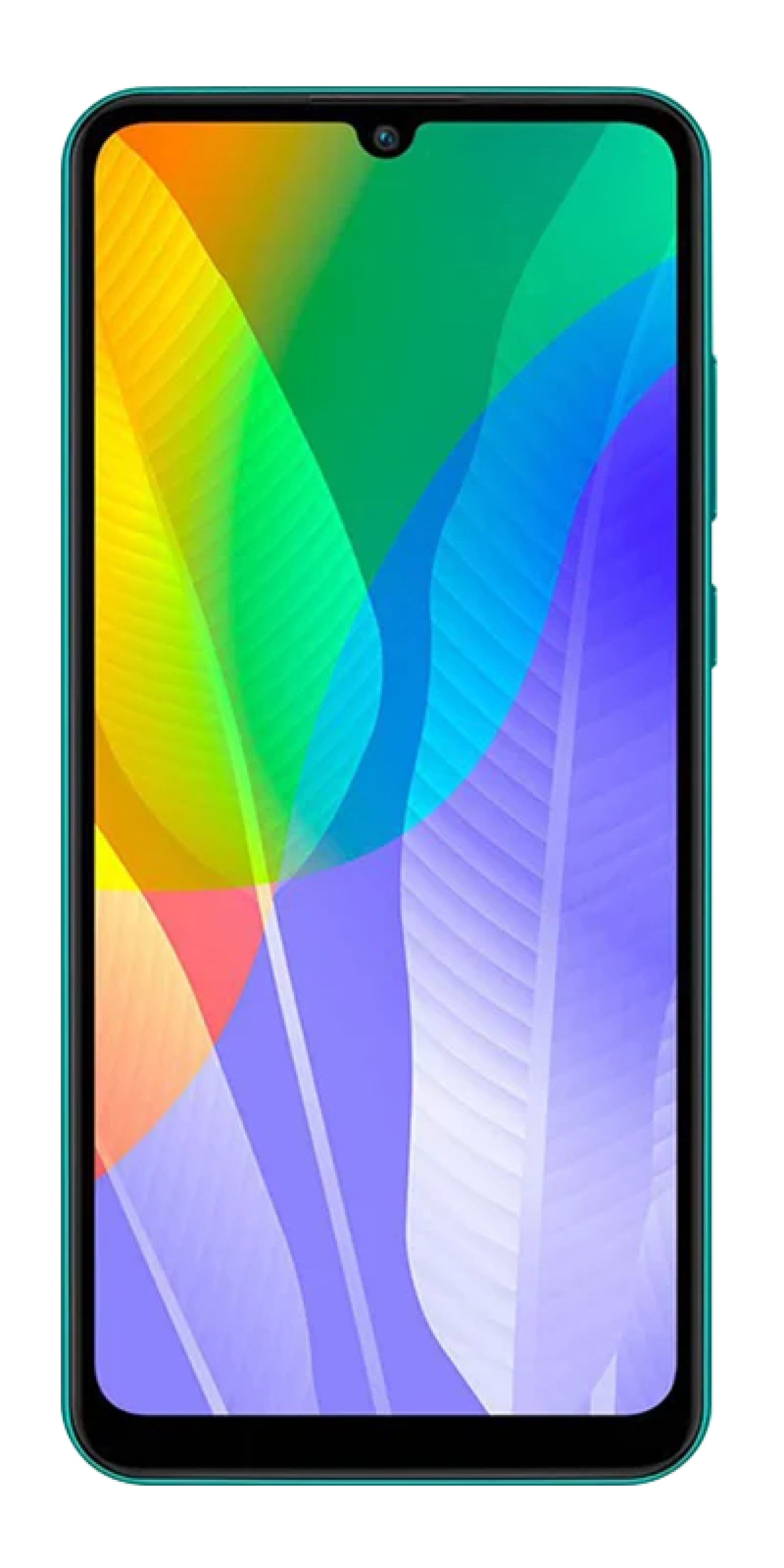 Y6p