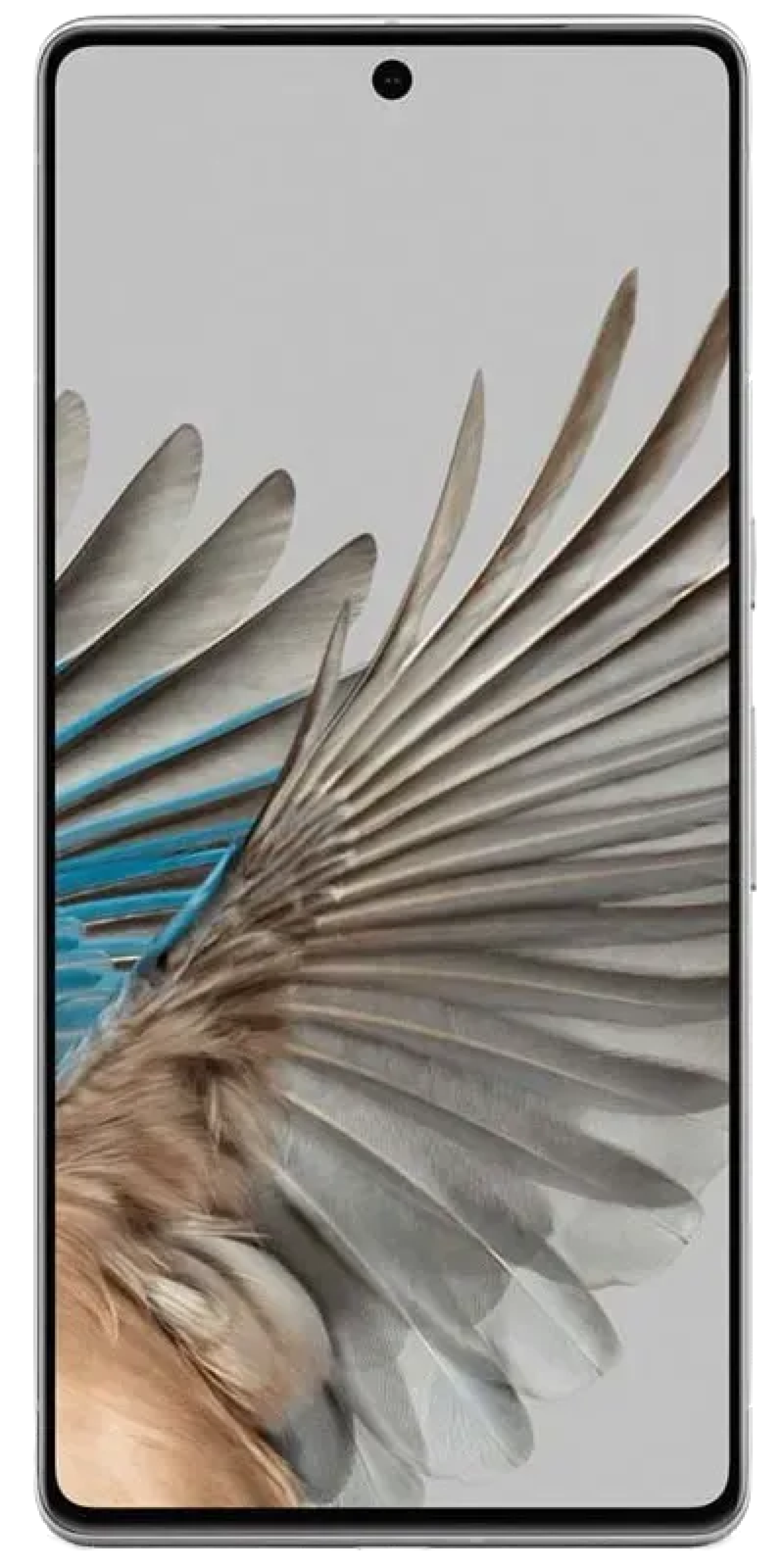 Pixel 7 Pro